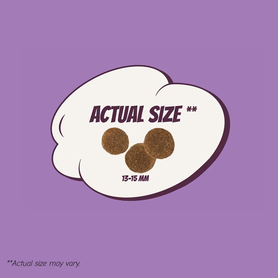 Adult Large/X-large