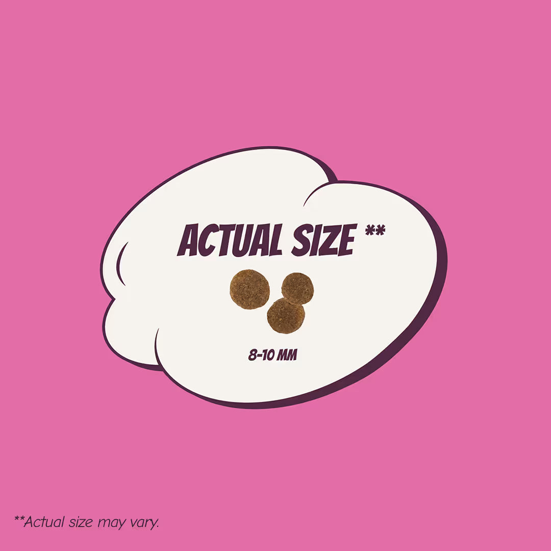 Adult Small/Medium