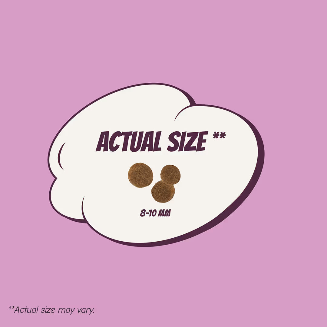 Puppy Small/Medium